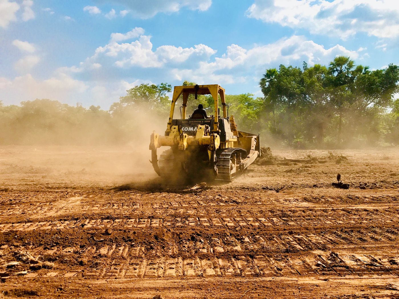 Bulldozer maakt een perceel met rode aarde bouwrijp, stof en palmbomen op de achtergrond.